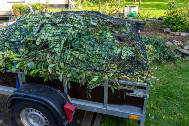 Best Shed Removal  in Prospect Heights, IL